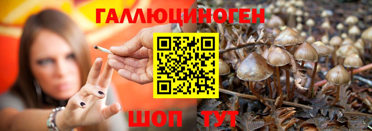 Галлюциногенные грибы ЛСД  Вход с VPN  купить наркотики цена  Киселёвск 